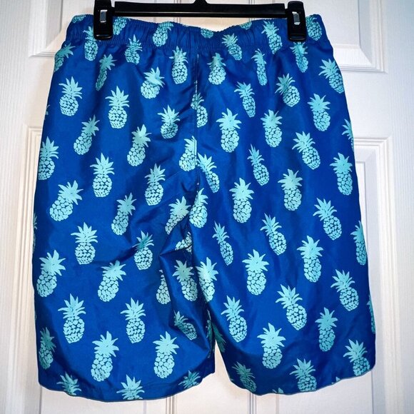 Hollister Men's Blue Pineapple Swim Trunks Size XS - Picture 3 of 4